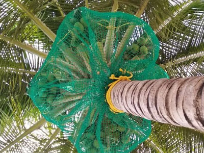 Balcony Safety Nets in Hyderabad