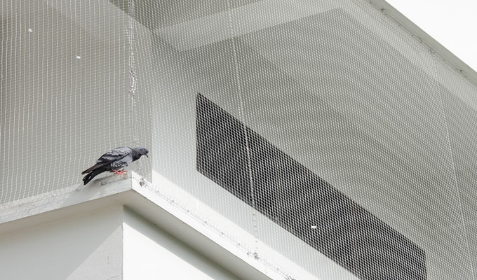 Pigeon Safety Nets In  Gachibowli